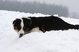 NEIGE - FROID 006